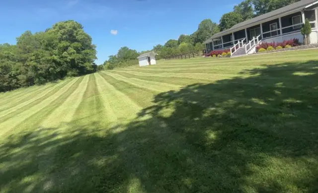Large lawn mowed in a fan pattern