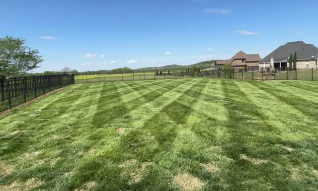 Backyard lawn with crisp checkered stripes