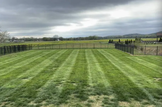 Lawn with long even stripes