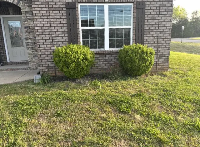 Front entry shrubs before mulching