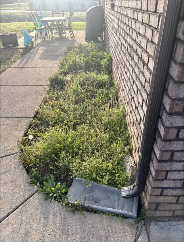 Side bed by the patio before mulching